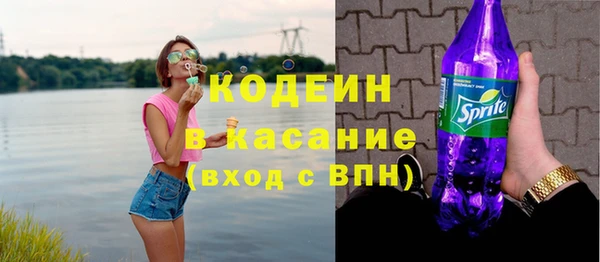 дмт Пересвет