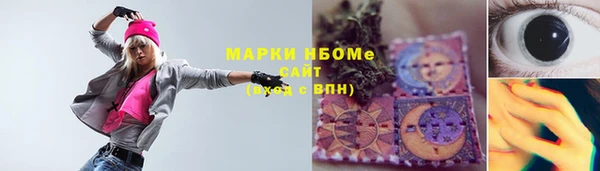соль ск Ветлуга