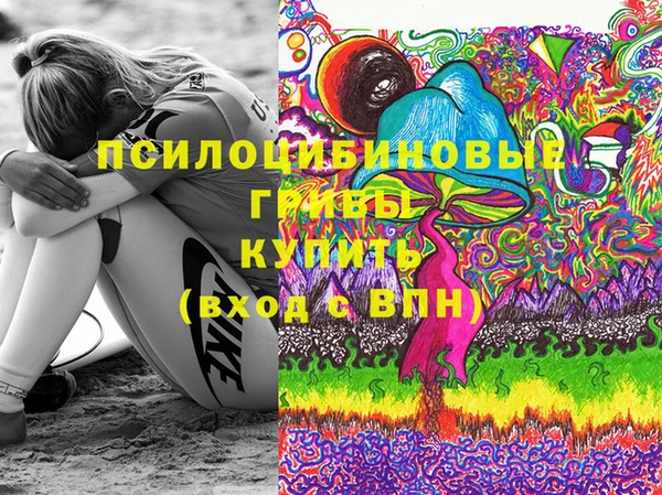 ГАЛЛЮЦИНОГЕННЫЕ ГРИБЫ Остров