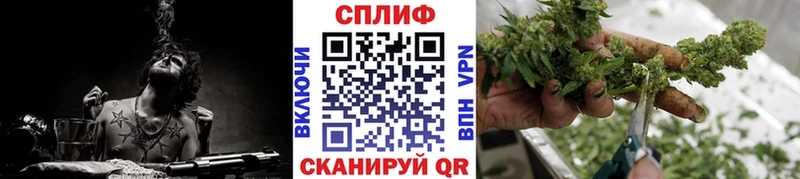 Бошки марихуана сатива  Лебедянь 